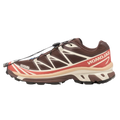 Salomon XT-6 Gore-Tex Roasted Clay